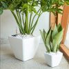 2-Pack Smart Self-watering Planter Pot for Indoor and Outdoor - White - Square Cone