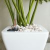 2-Pack Smart Self-watering Planter Pot for Indoor and Outdoor - White - Square Cone